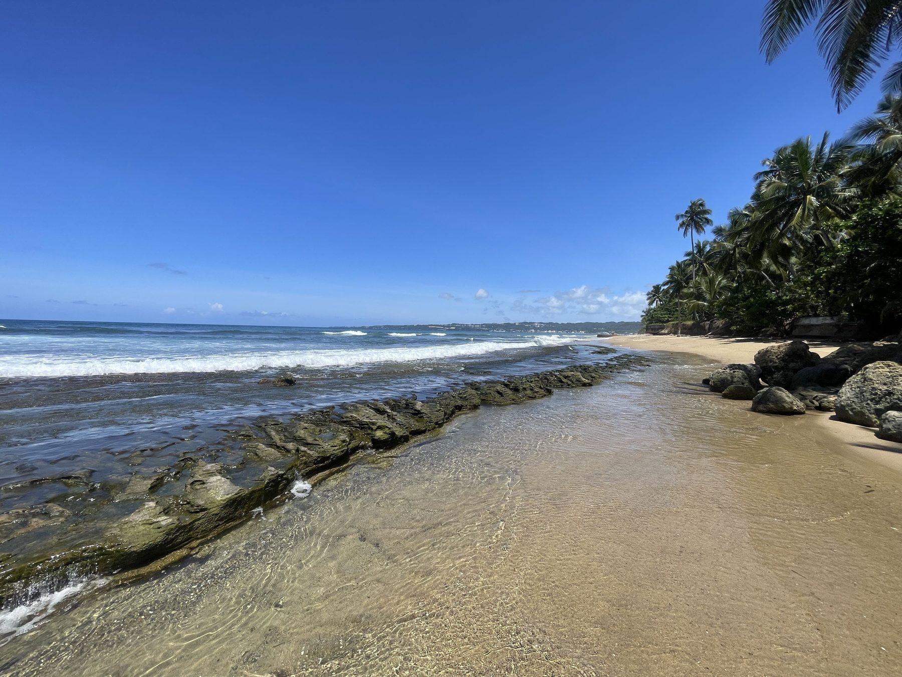 The shoreline in front of the complex: shallow clear water over a low rock and reef shelf, running into open sand with palms along the tree line